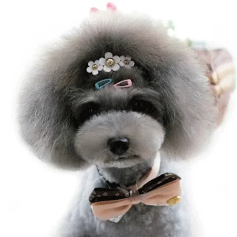 5pc/set Korean Mini 2cm Colorf - Vintage Fashion Dolls review and price